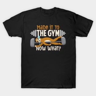 Made It To The Gym Now What? Sloth T-Shirt